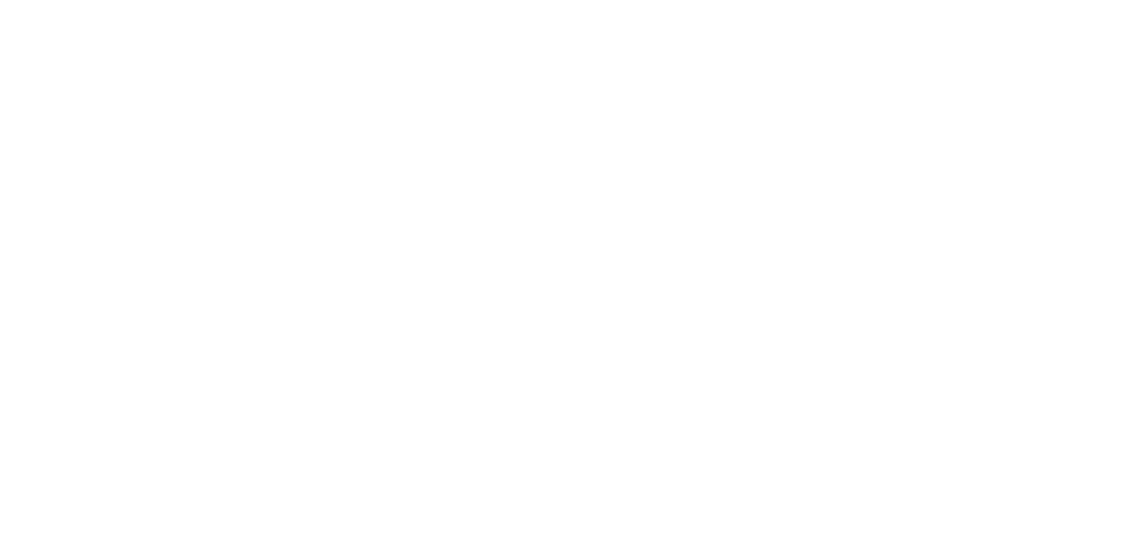 Strong Arm Security Logo in White